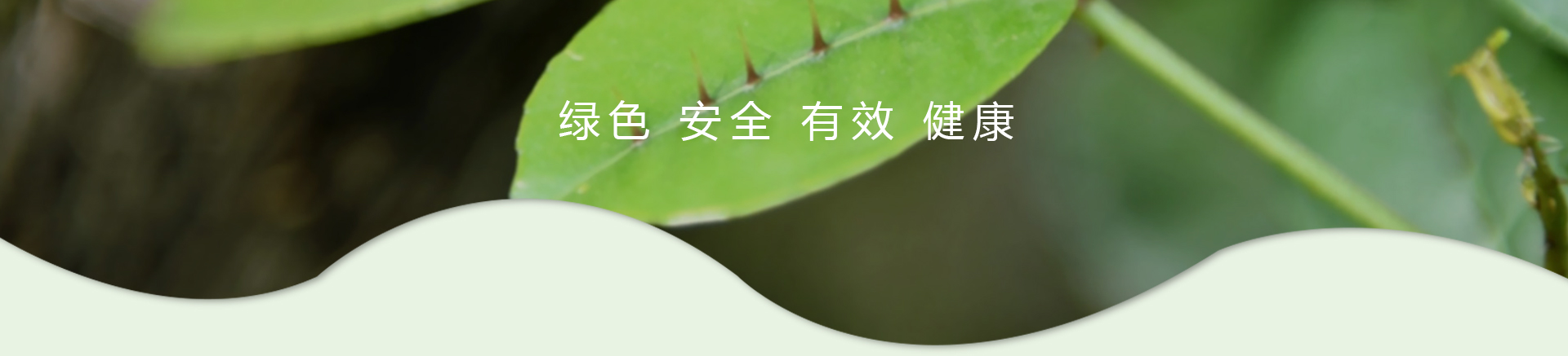 918搏天堂(中国)人生就是搏